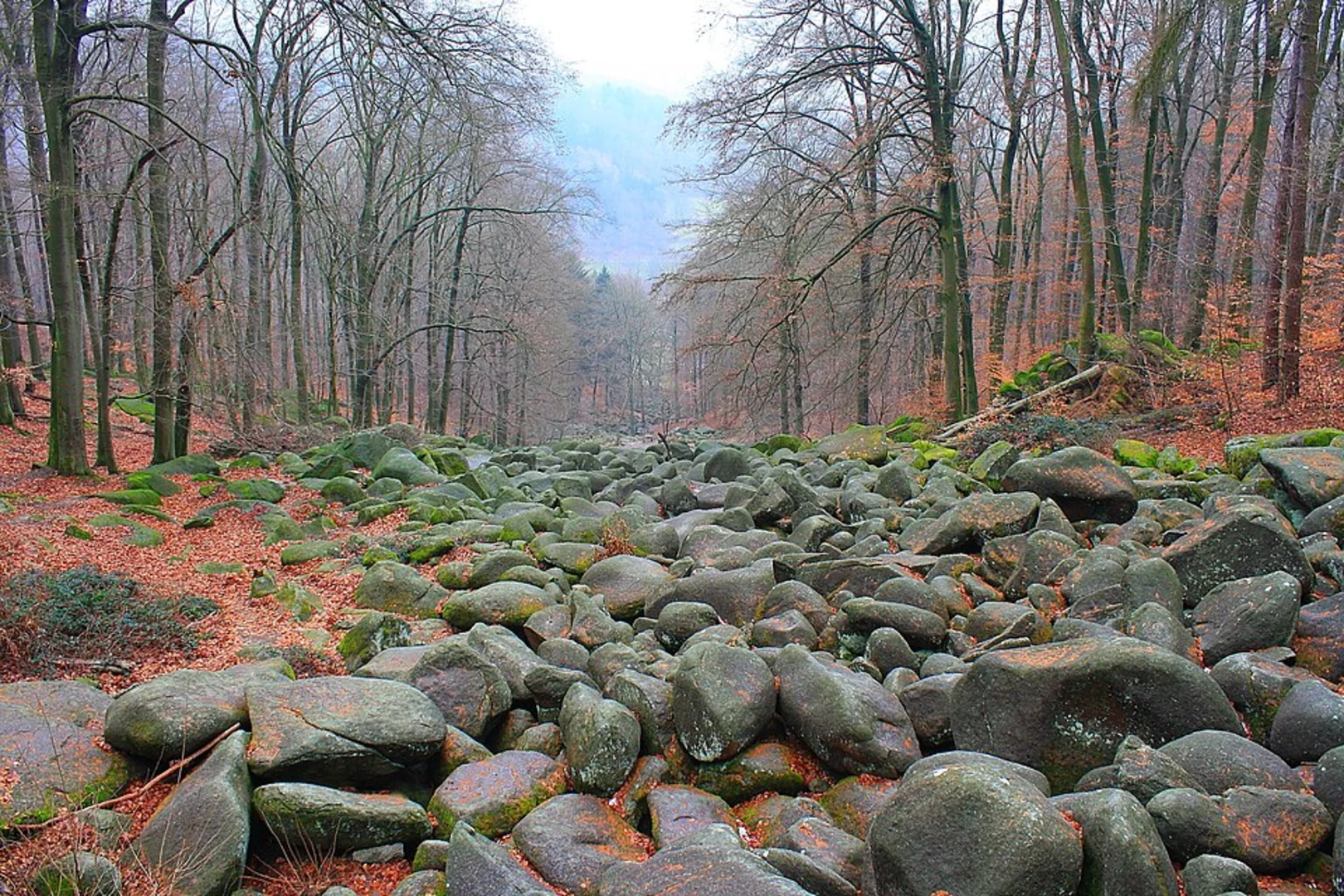 An image depicting the trail Schinderlucke, Hörnle and Felsenmeer Loop and its surrounding area.
