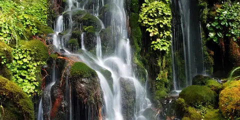 An image depicting the trail Waitonga Falls Track and its surrounding area.