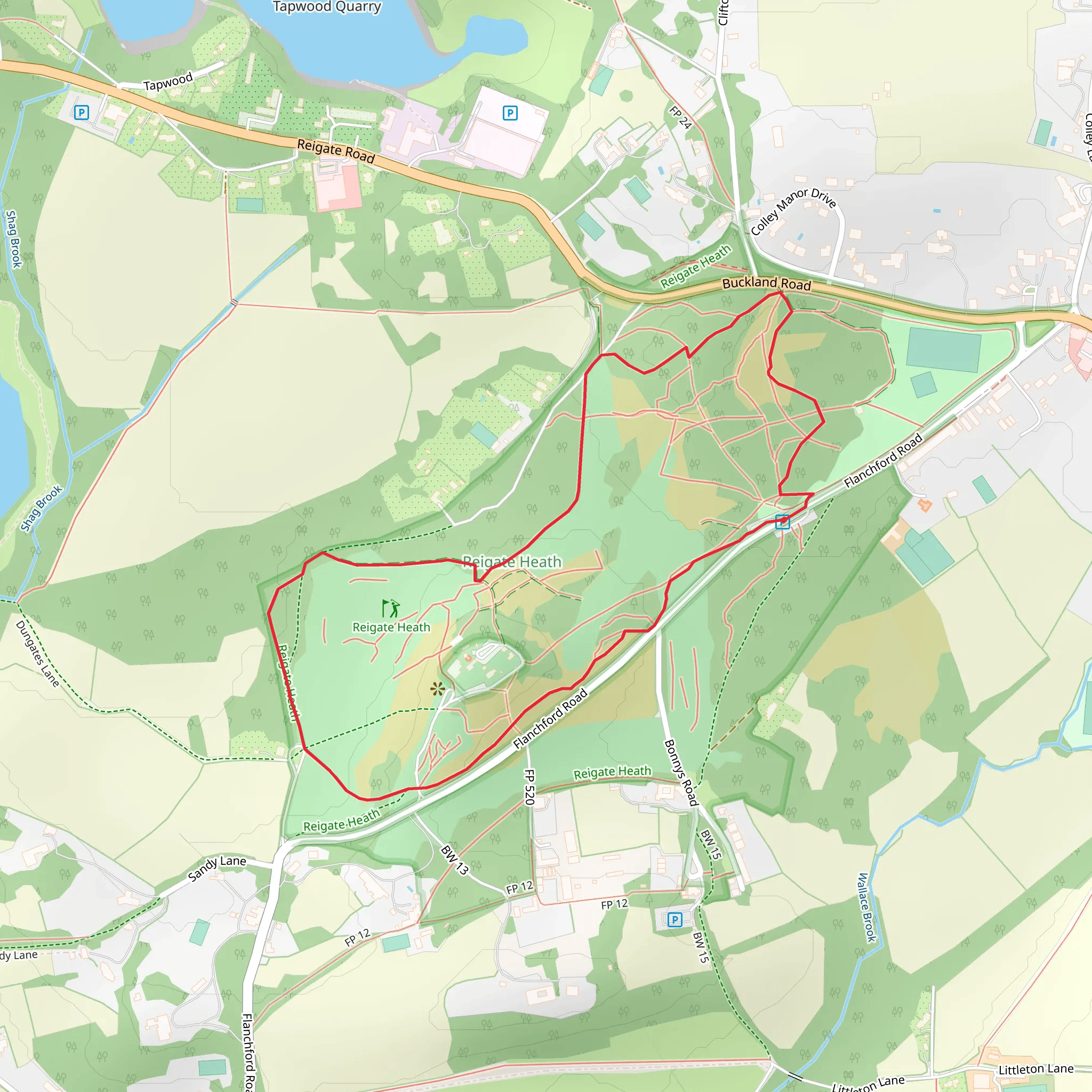 Reigate Heath Loop mobile static map