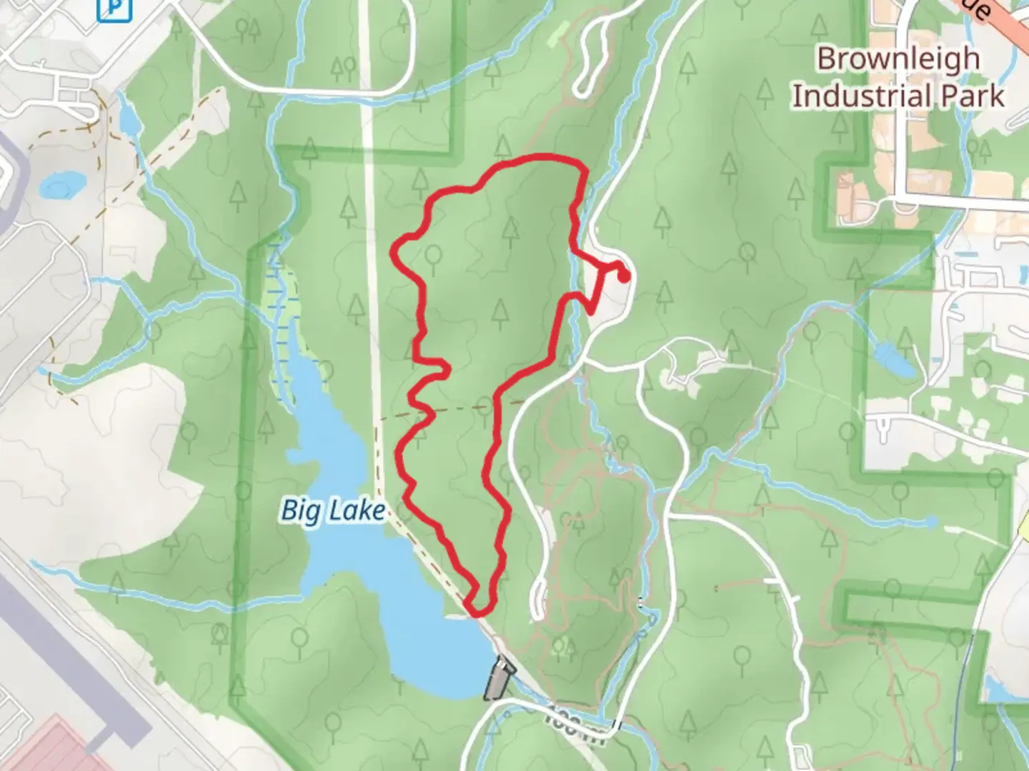 An image depicting the trail Sal's Branch Loop Trail and its surrounding area.