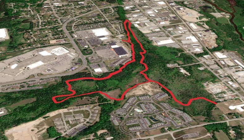 Miller Creek and Beech Ridge Loop Trail