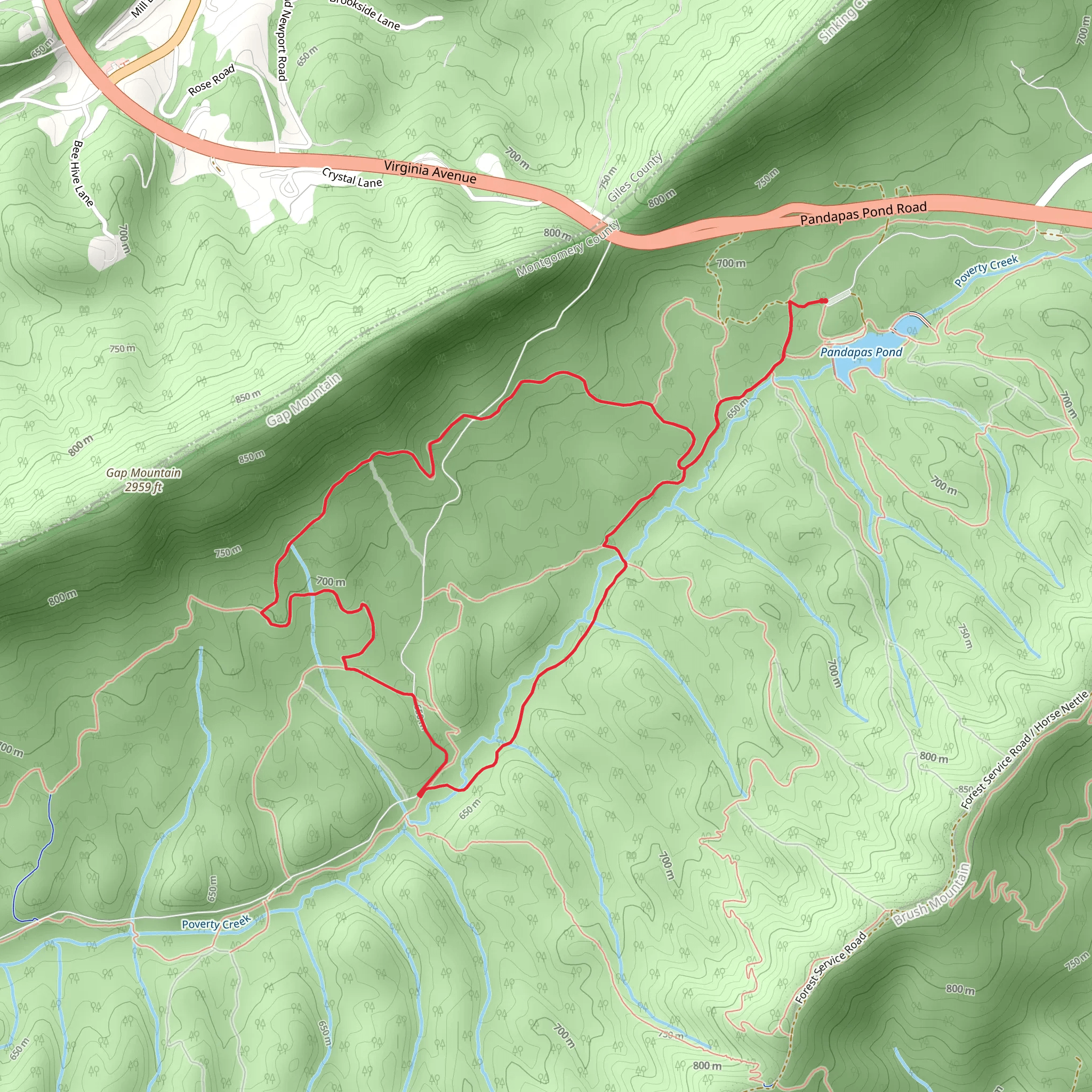 Prickley Pear, May Apple and Poverty Creek Loop Trail mobile static map