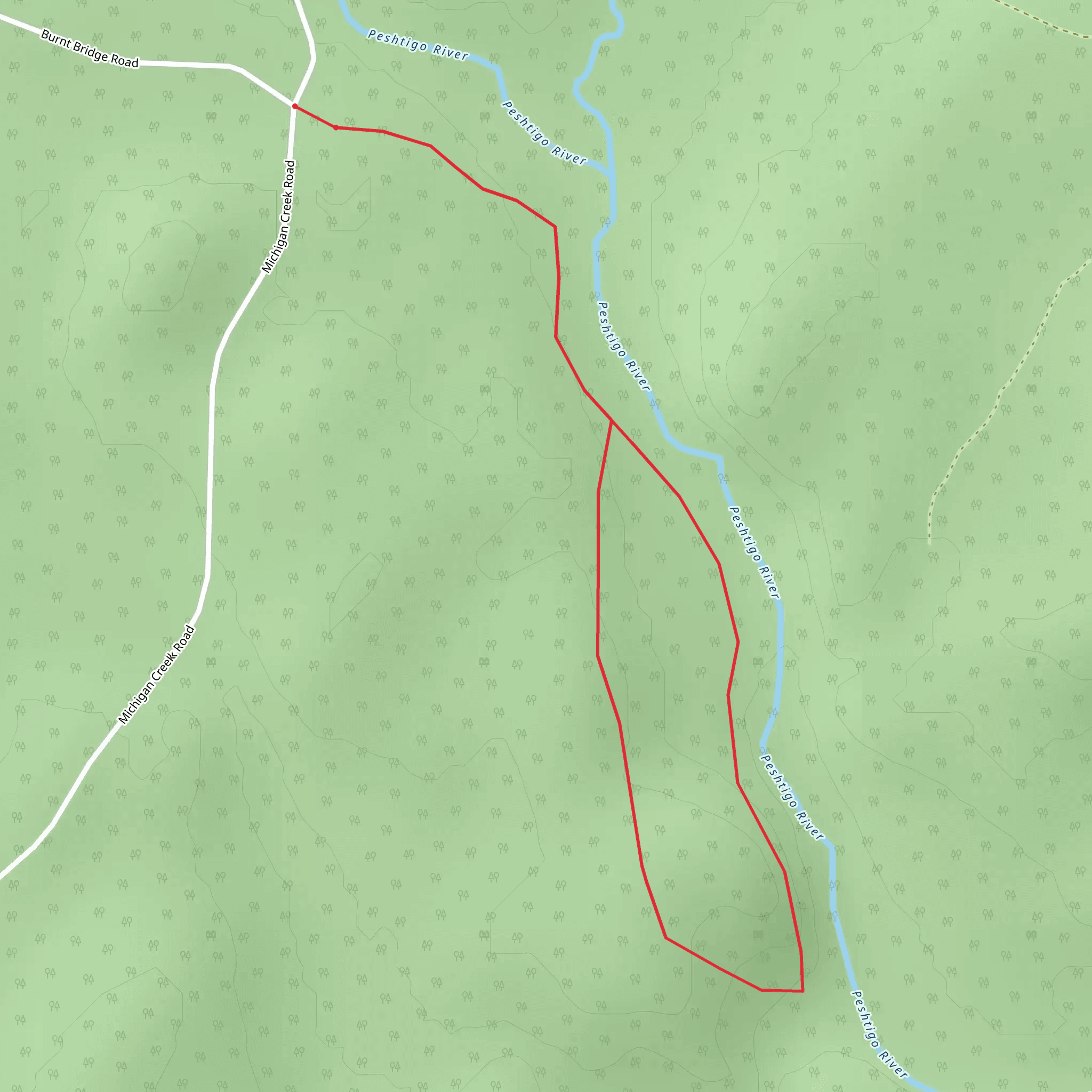 Michigan Rapids Trail mobile static map