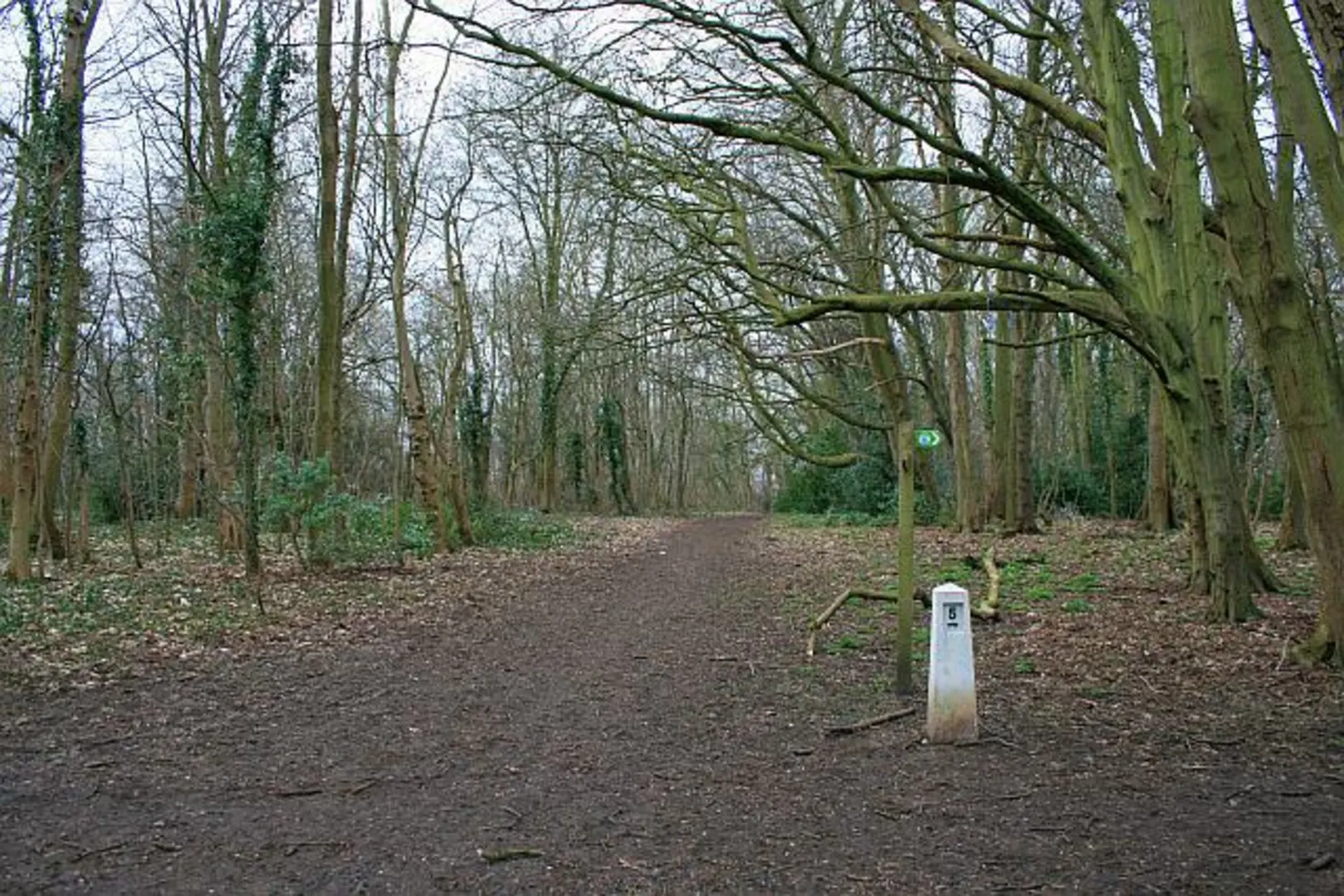 An image depicting the trail Nonsuch Park Loop Walk and its surrounding area.