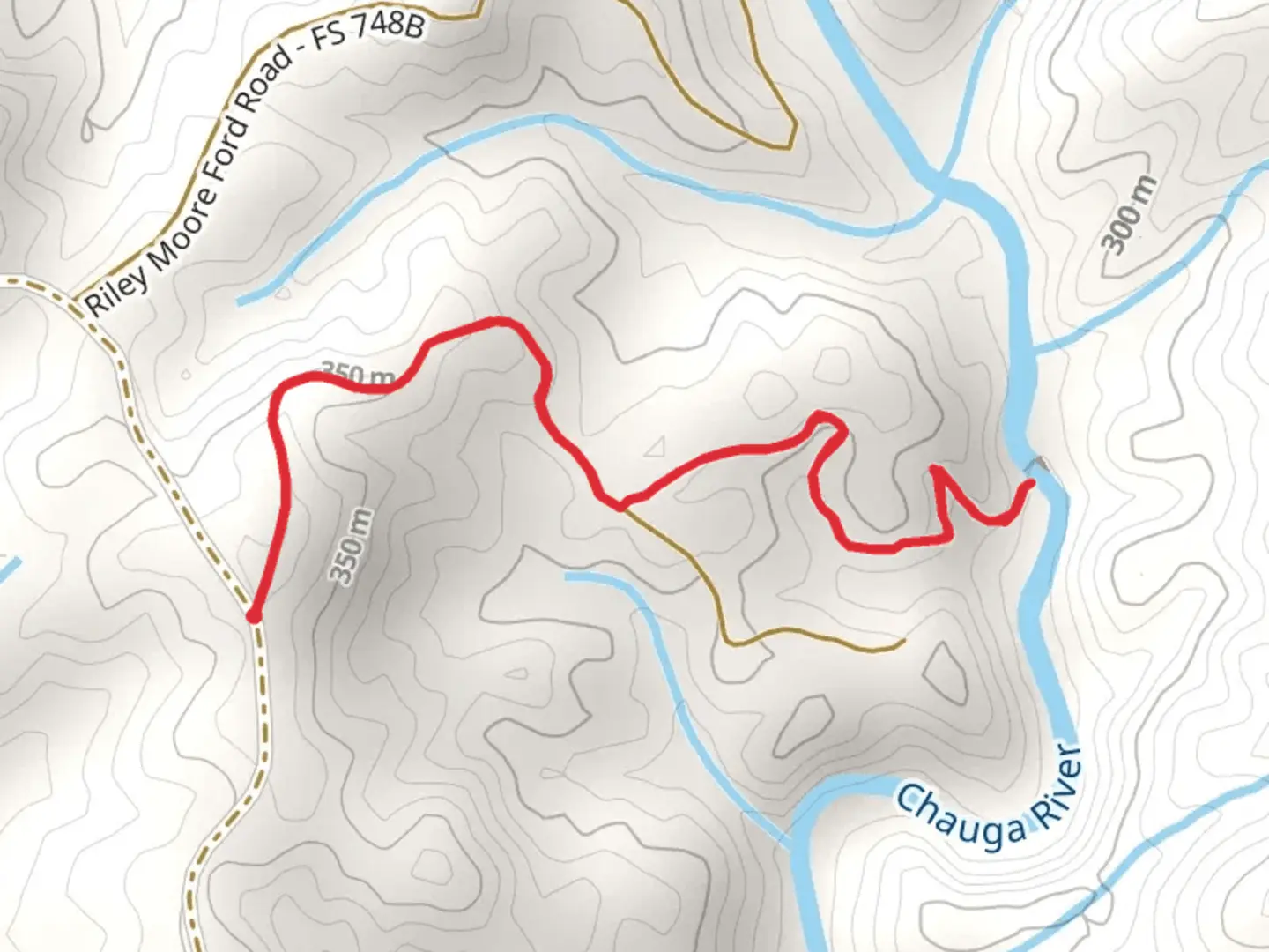 An image depicting the trail Riley Moore Falls Trail and its surrounding area.