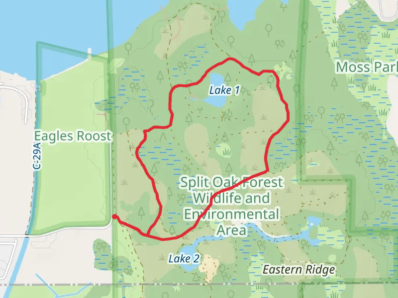 Center Trail and North-South Trail Loop