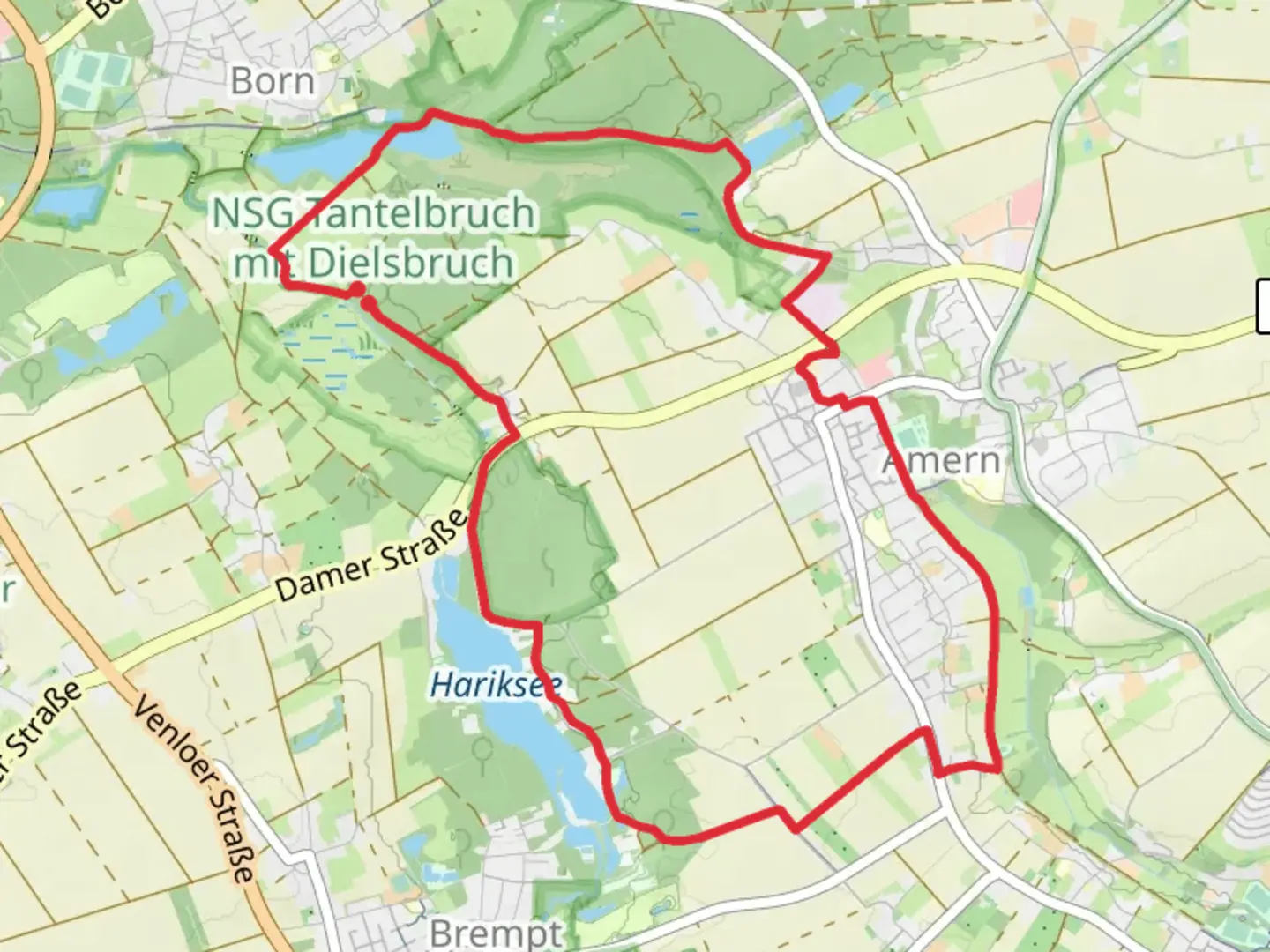 An image depicting the trail Kranenbach via Schwalmtalweg and its surrounding area.