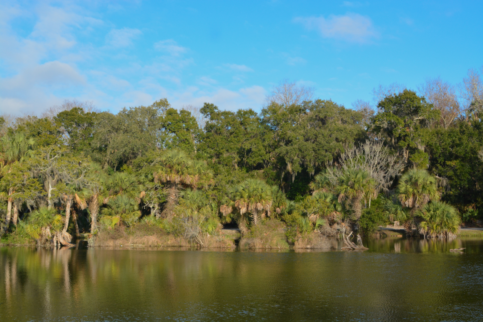 An image depicting the trail Kathryn Abbey Hanna Park Loop via South Loop and its surrounding area.