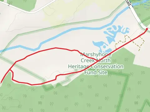 Loop Beside Marshyhope Creek