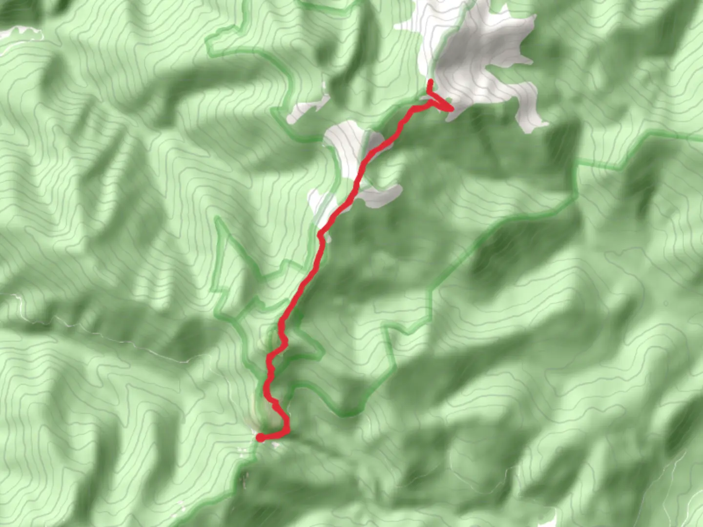 An image depicting the trail Shedroof Divide Trail and its surrounding area.