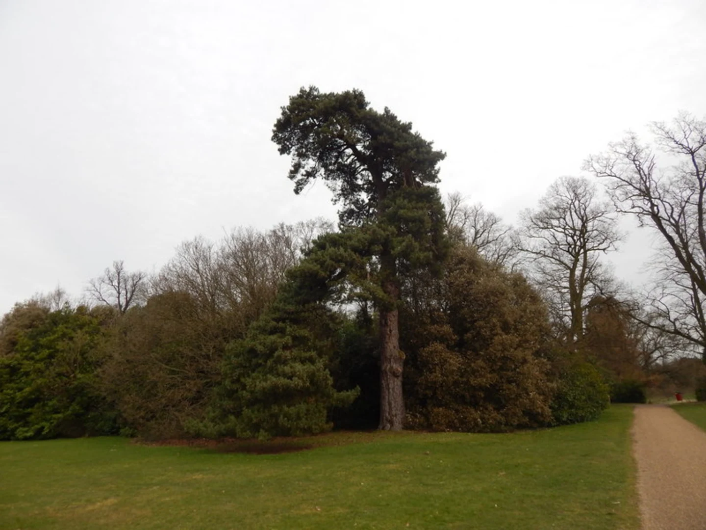 An image depicting the trail Chantry Park Loop and its surrounding area.