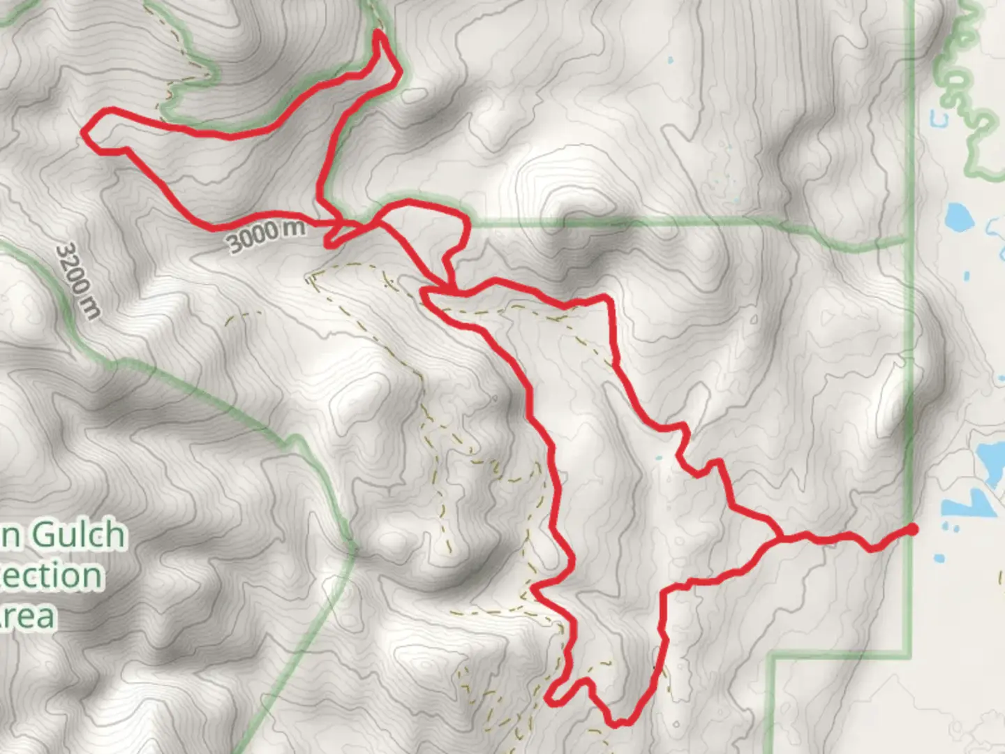 An image depicting the trail Loop beside North Supply Creek and its surrounding area.