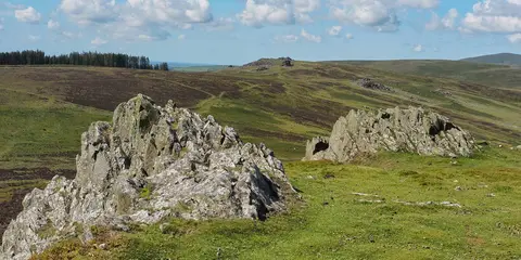 An image depicting the trail Foel Drygarn Hillfort Circular - Preseli Hills and its surrounding area.