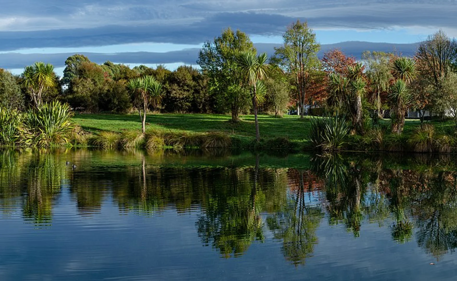 An image depicting the trail Otukaikino Track and its surrounding area.