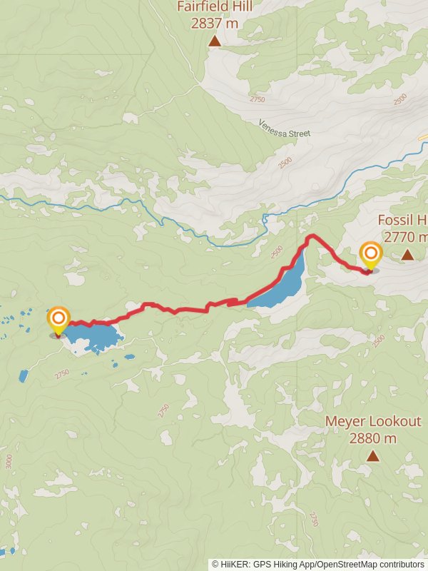 Upper Brewers from Louis Lake Road