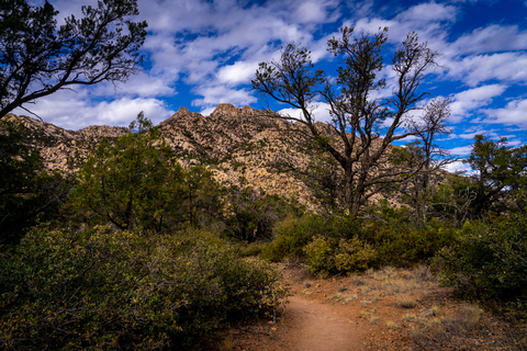 An image depicting the trail Surprise Spring Trail and its surrounding area.