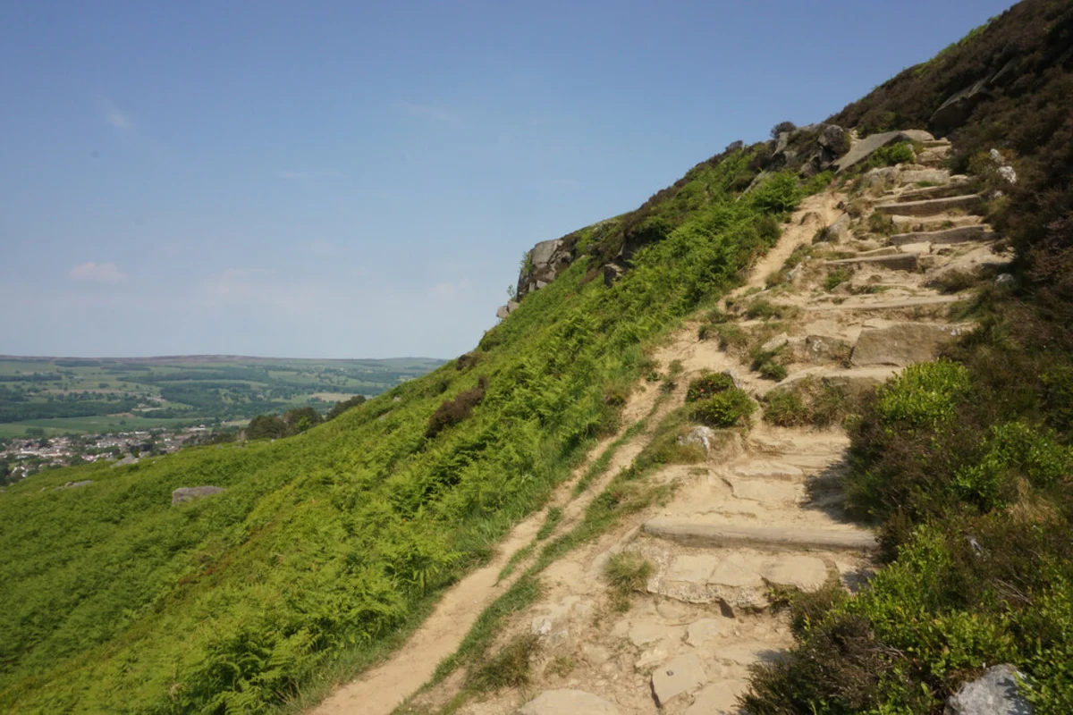 Willy Hall's Wood and Stanza Stones Loop