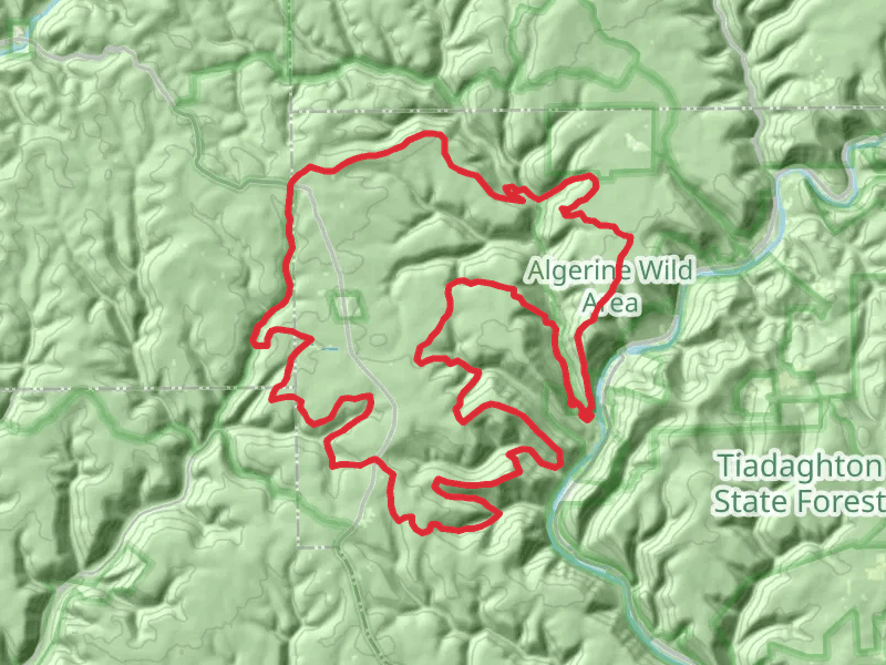 Black Forest Trail Loop