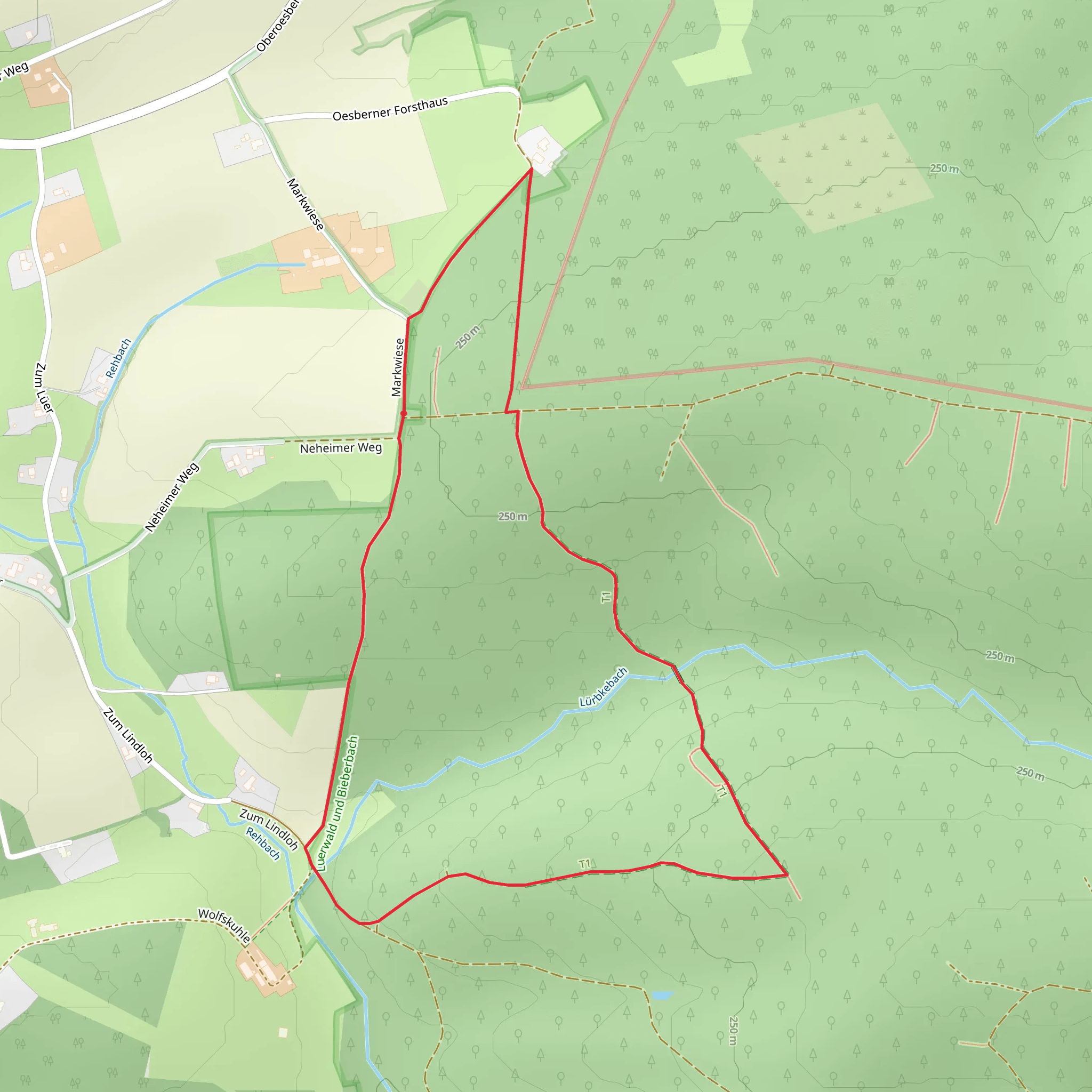 Bieber Rundweg and Luerwaldrunde Loop mobile static map