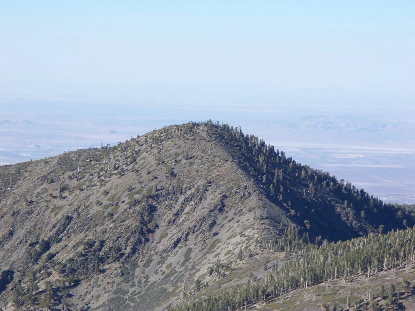 An image depicting the trail Register Ridge, Mount San Antonio and Baldy Bowl Loop Trail and its surrounding area.