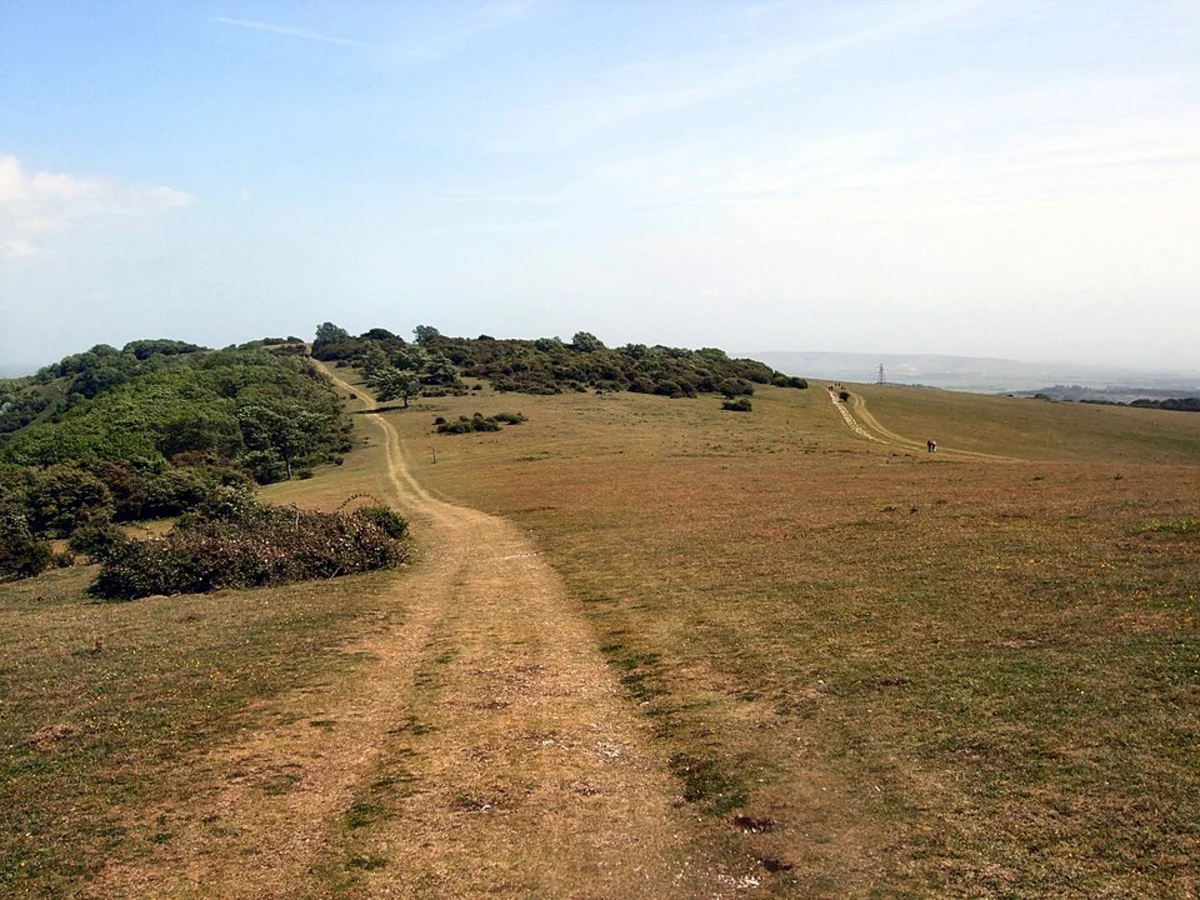 Blackcap, Ditchling Beacon and Keymer Post Walk