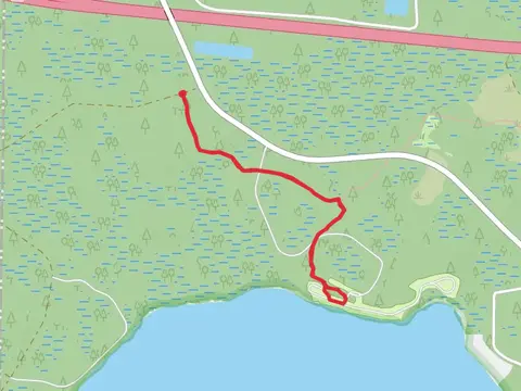 Osceola National Forest Trail