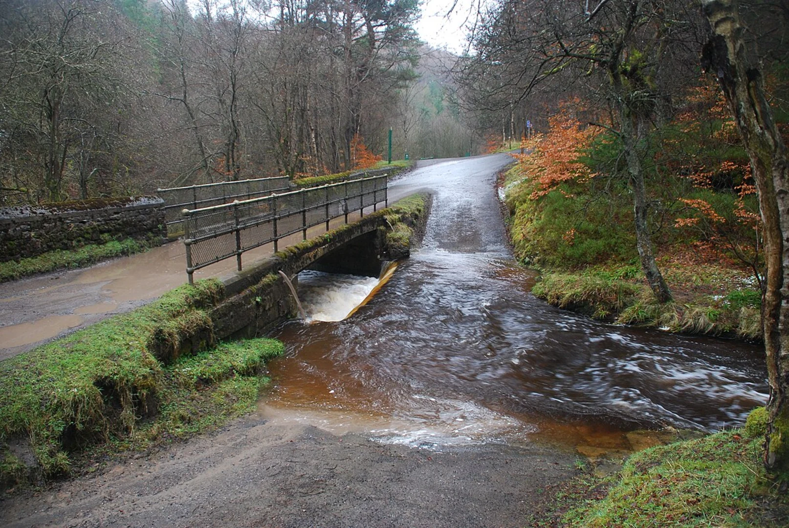 An image depicting the trail Potato Hill, Crossfield Plantation, Tinker Hills Plantation and Hamsterley Forest Loop and its surrounding area.