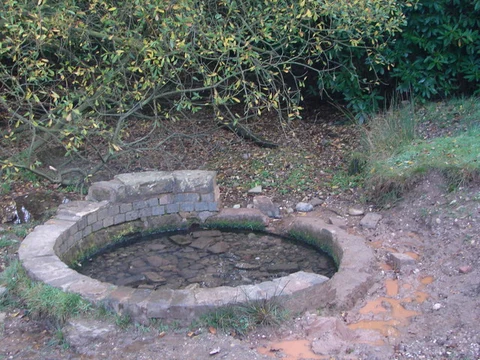 Sutton Park, Keepers Pool Loop