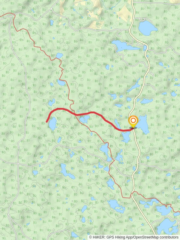 Anderson Lake via Forest Trail 502