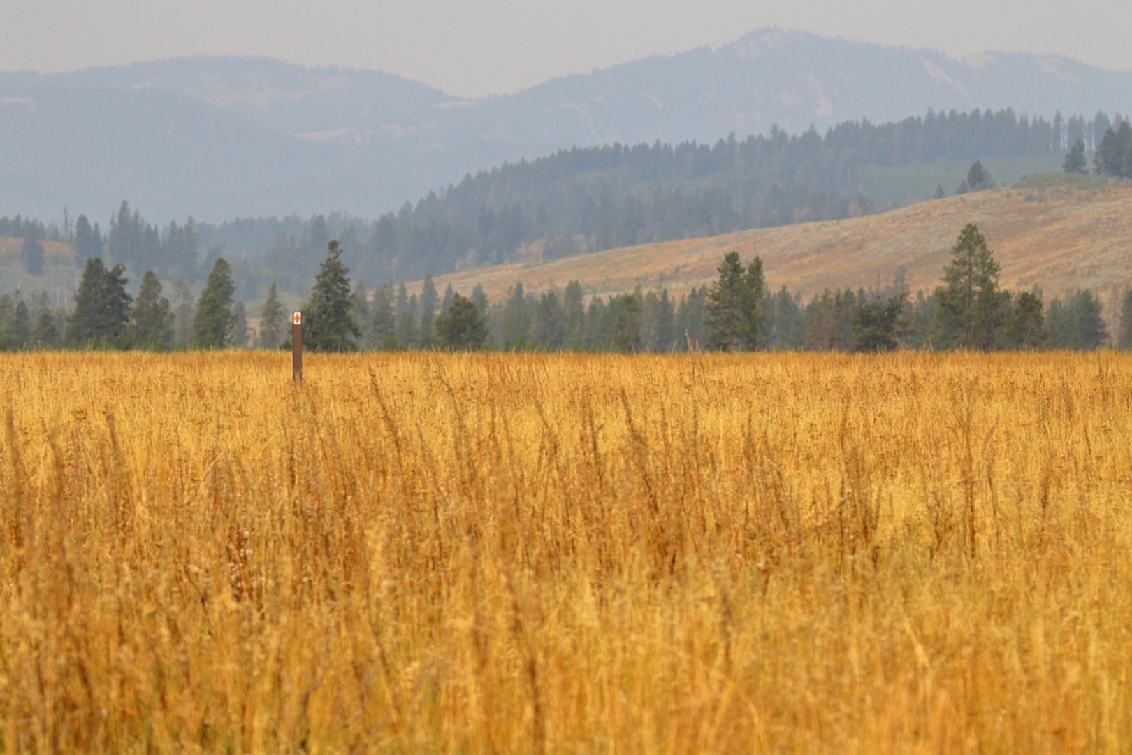 An image depicting the trail Gneiss Creek Trail and its surrounding area.