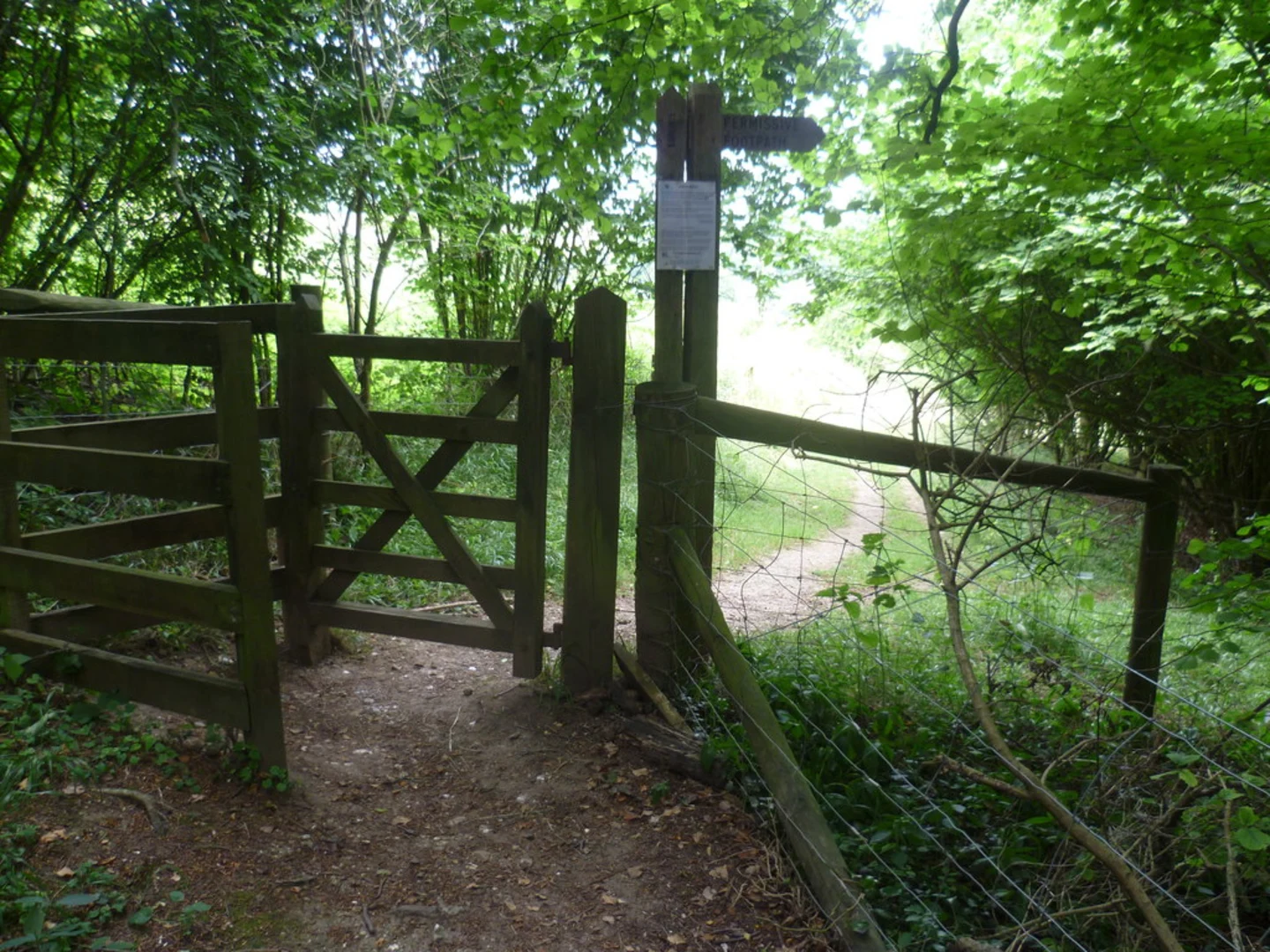 An image depicting the trail Chipstead Walk and its surrounding area.