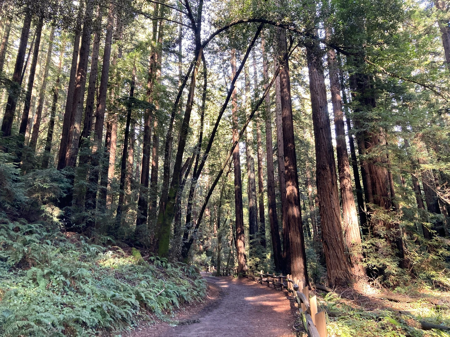 An image depicting the trail Tres Sendas, French and West Ridge Loop Trail and its surrounding area.
