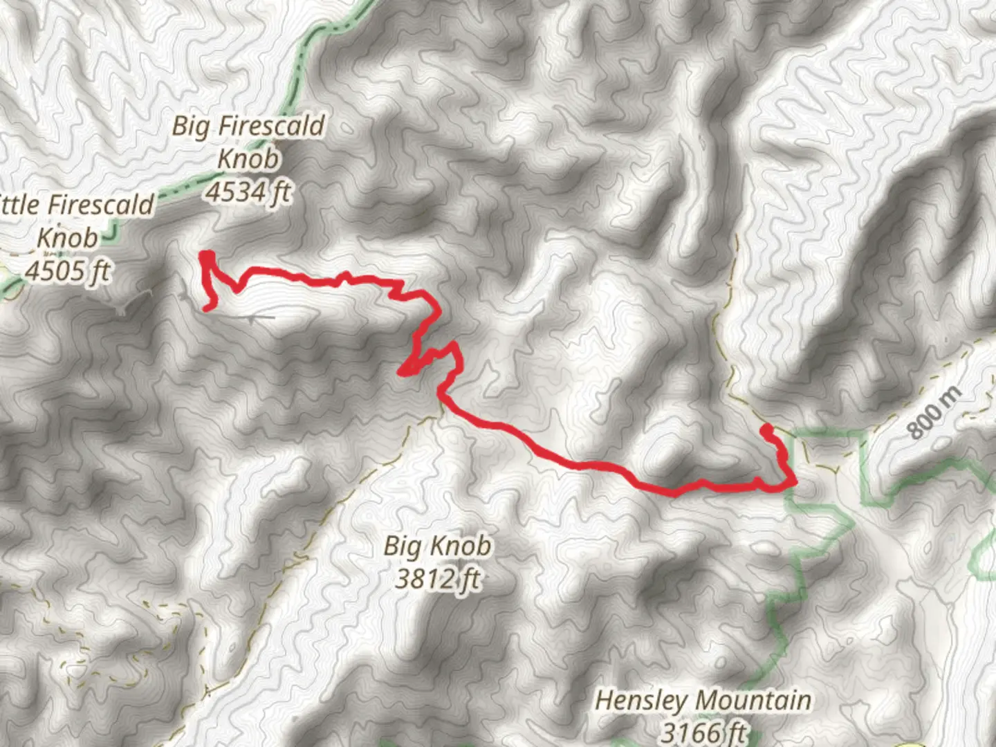 An image depicting the trail Whiteoak Flats Branch and its surrounding area.