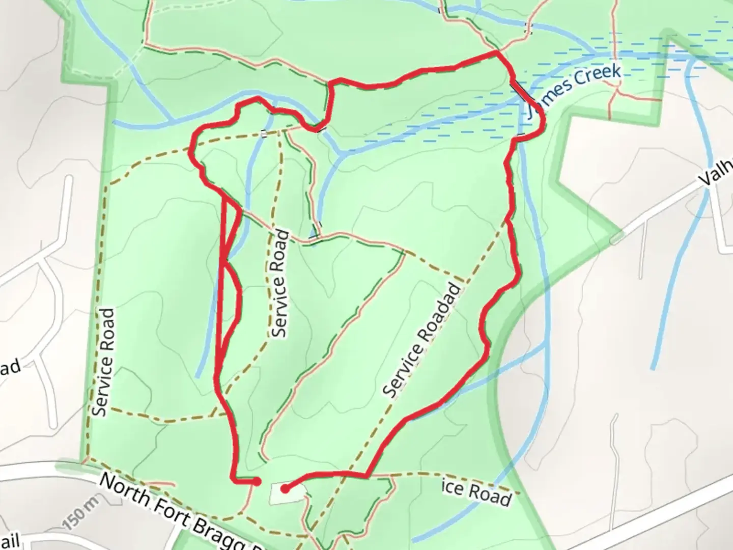 An image depicting the trail Lighter Stump and Pine Barrens Loop Trail and its surrounding area.