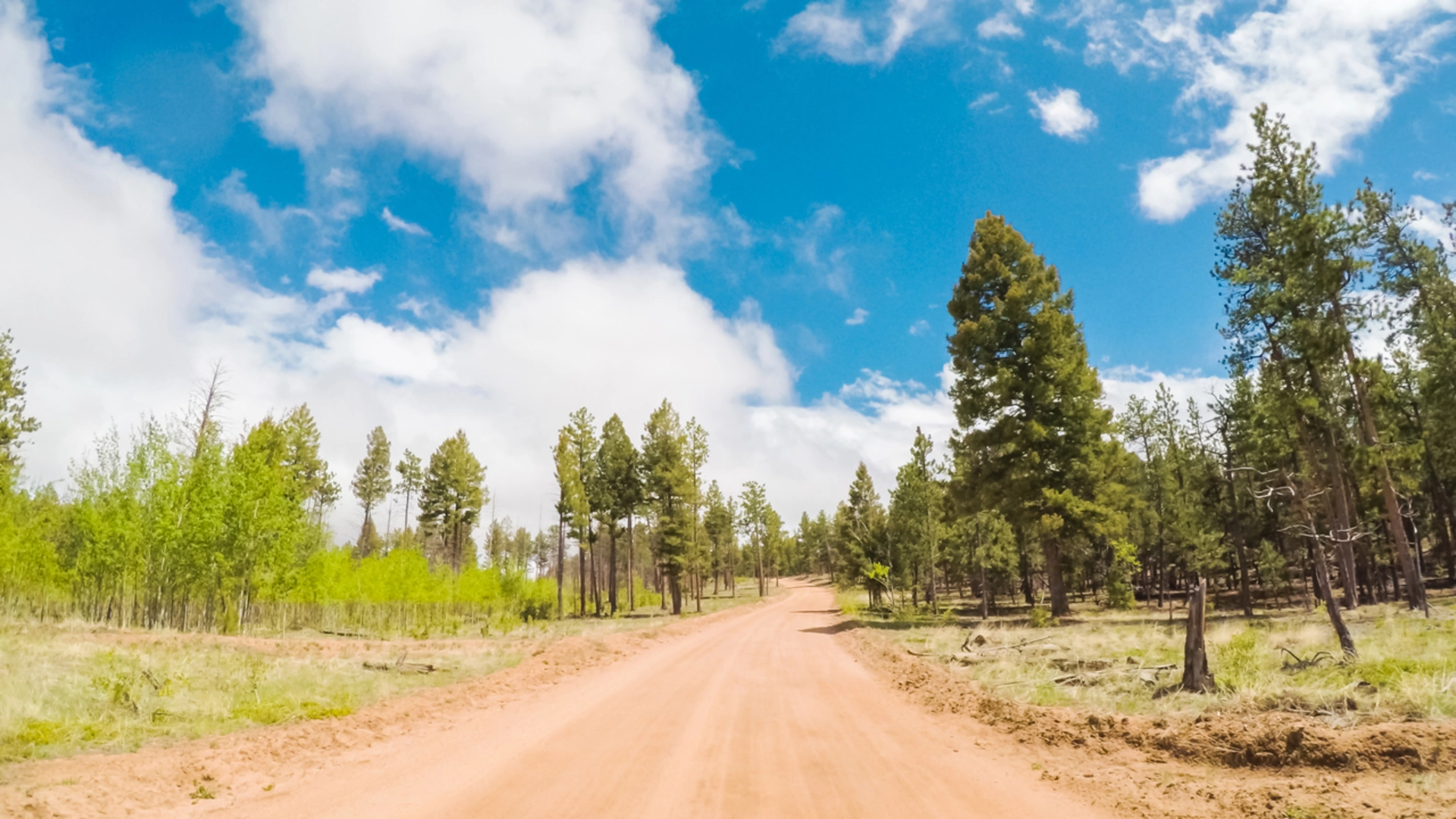 An image depicting the trail Gill Trail and its surrounding area.