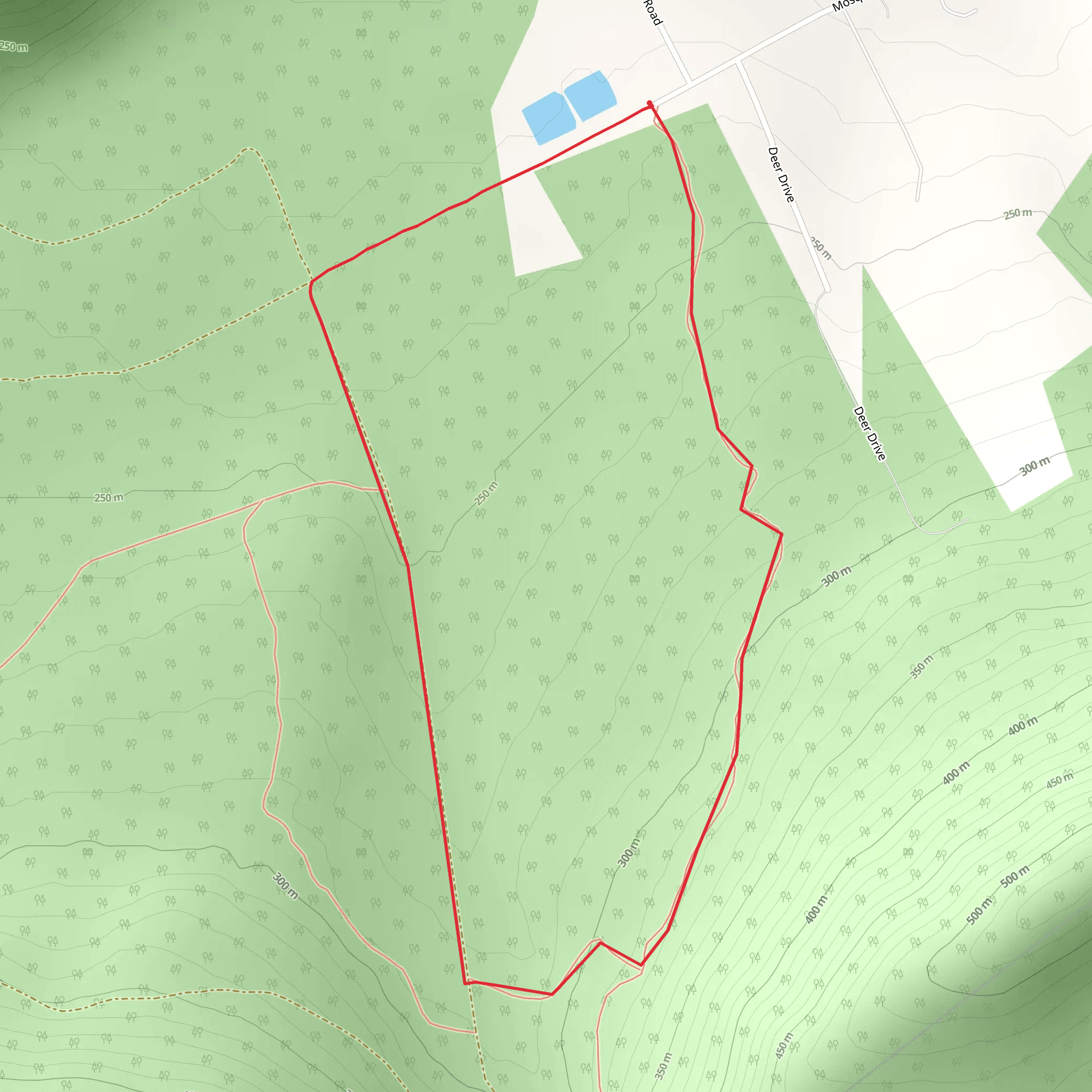 Remington Run Loop mobile static map