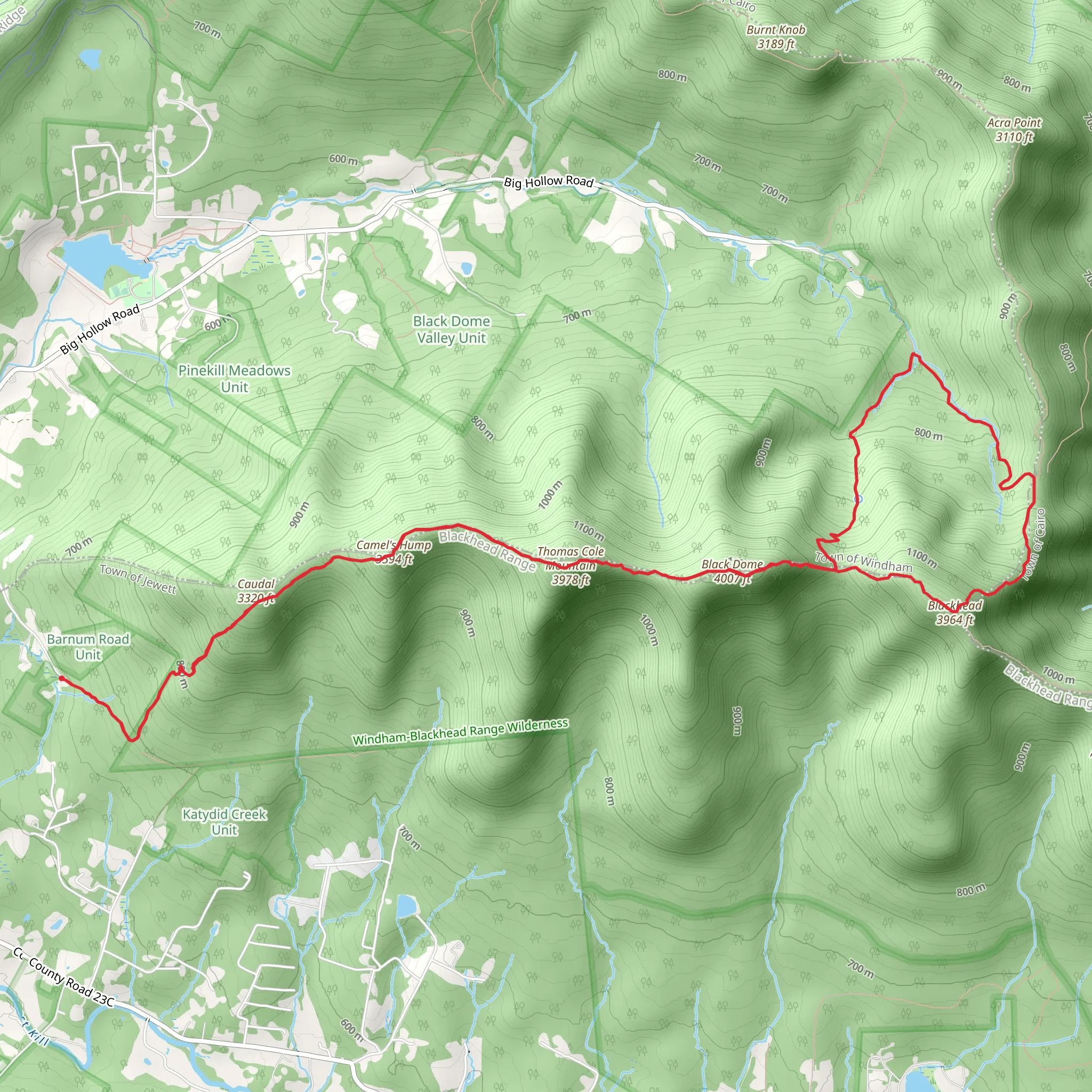 Caudal, Camel's Hump, Thomas Cole Mountain, Black Dome and Blackhead Mount Loop mobile static map