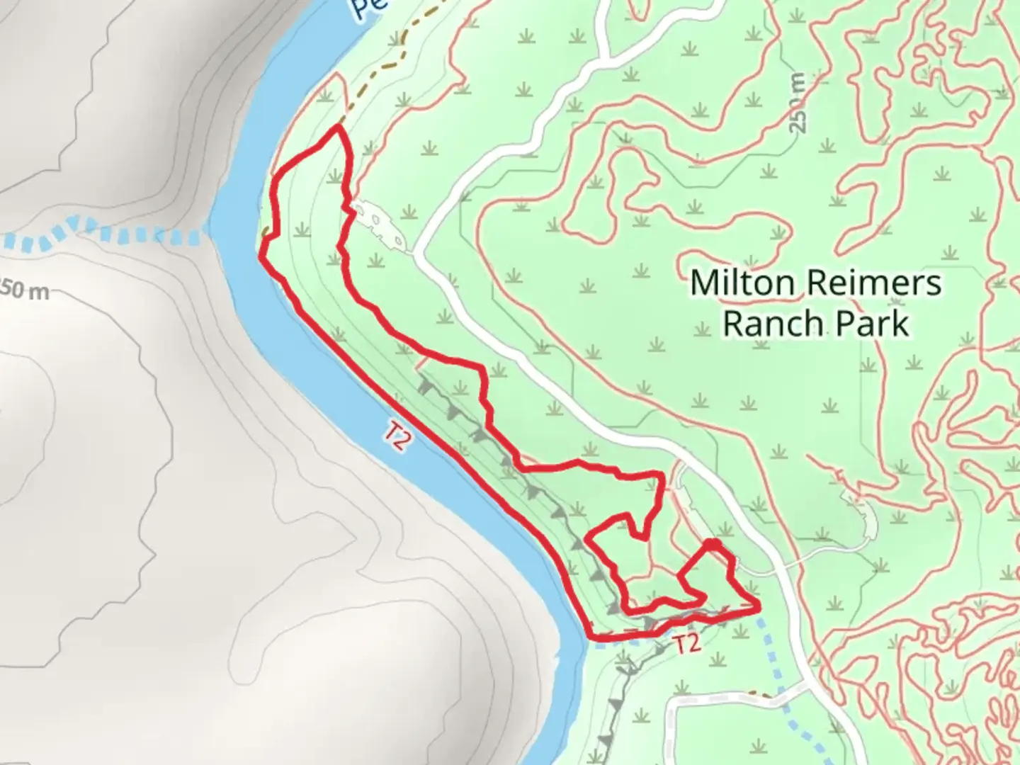 An image depicting the trail Pedernales River Loop and its surrounding area.