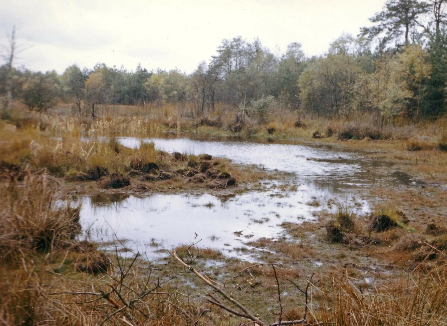 An image depicting the trail Hochmoor, Ahrensfelder Damm and Neuenfelde Loop and its surrounding area.