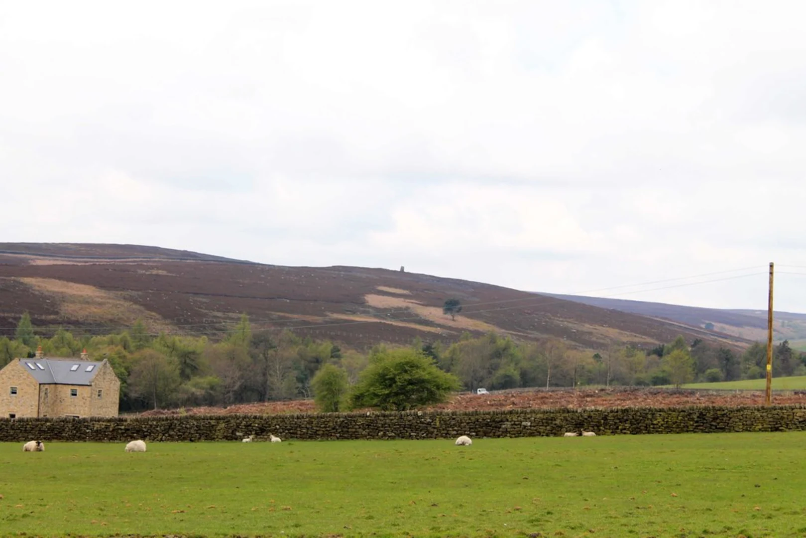 An image depicting the trail Wyming Brook Nature Reserve Loop and its surrounding area.