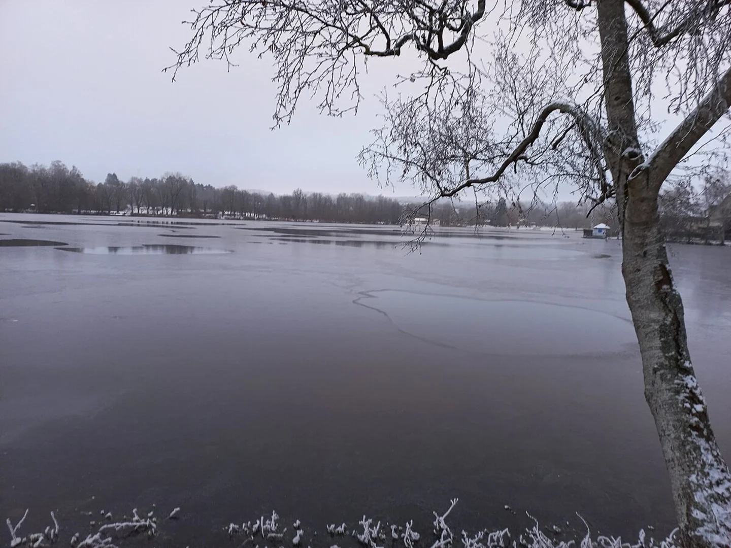 An image depicting the trail Stadtsee Southwest Loop and its surrounding area.