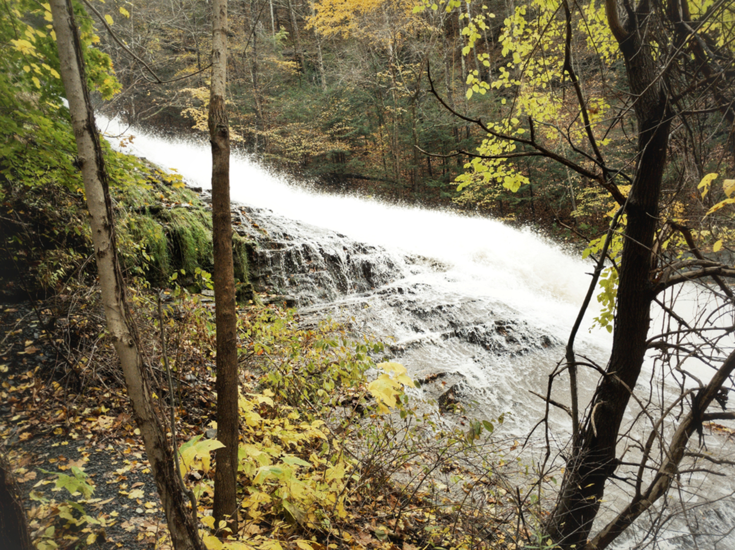 An image depicting the trail Buttermilk Falls County Park and its surrounding area.