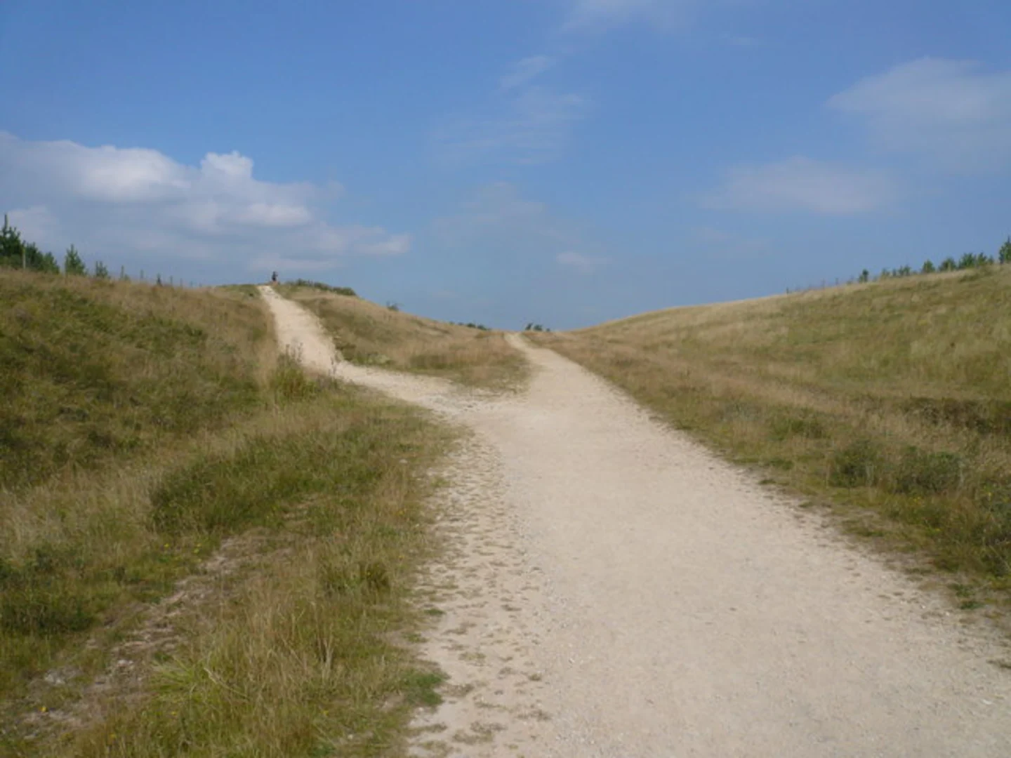 An image depicting the trail Silverhill Loop - Silver Hill Wood and its surrounding area.