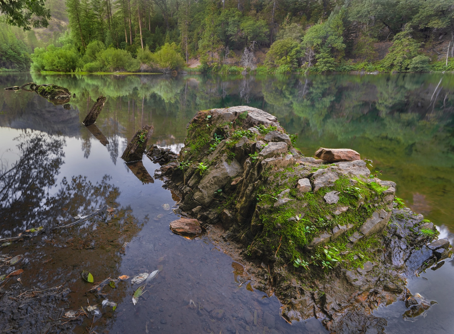 An image depicting the trail North Fork Mokelumne River Walkalong and its surrounding area.