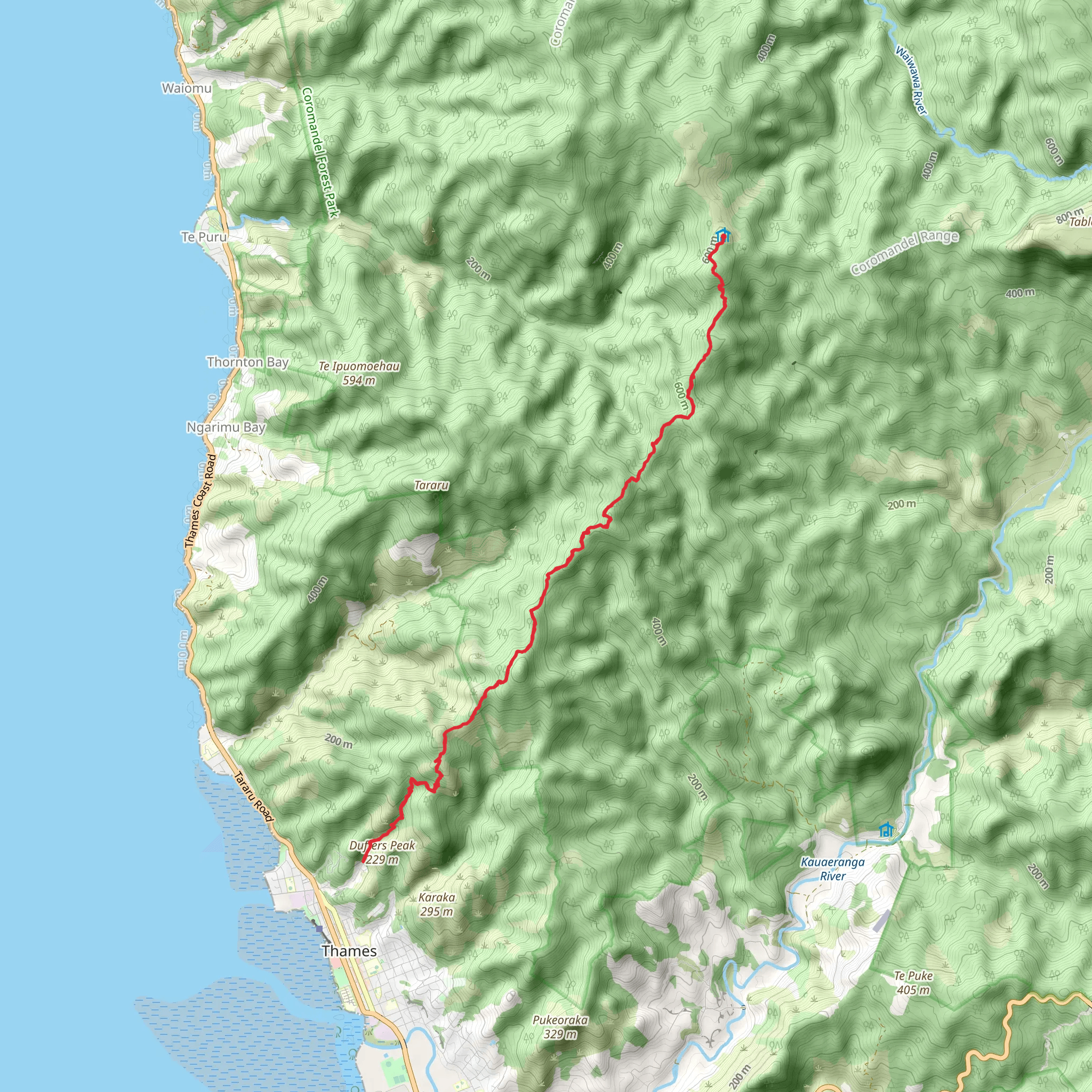 Waiotahi Track mobile static map