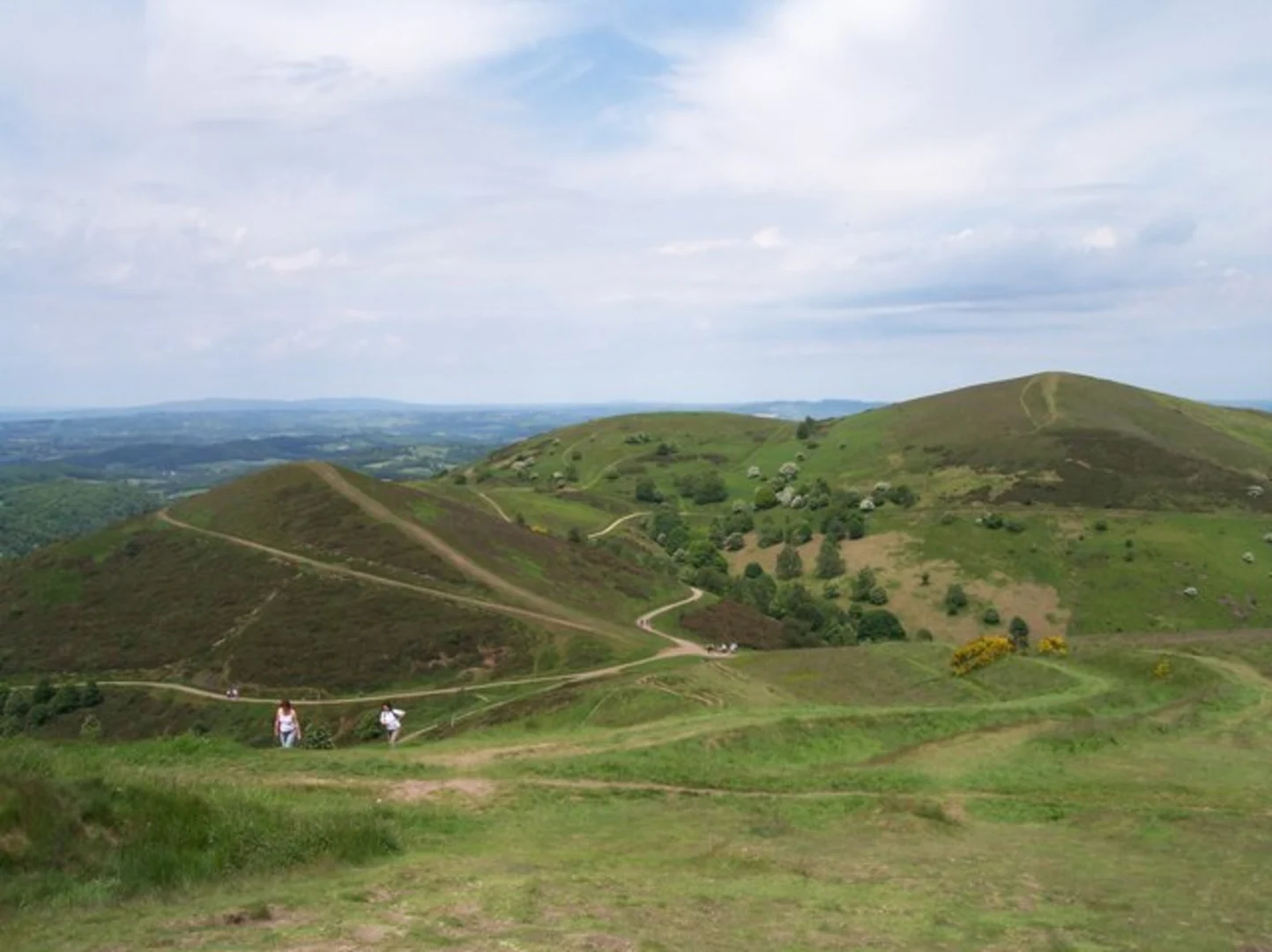 An image depicting the trail Worcestershire Beacon Loop and its surrounding area.