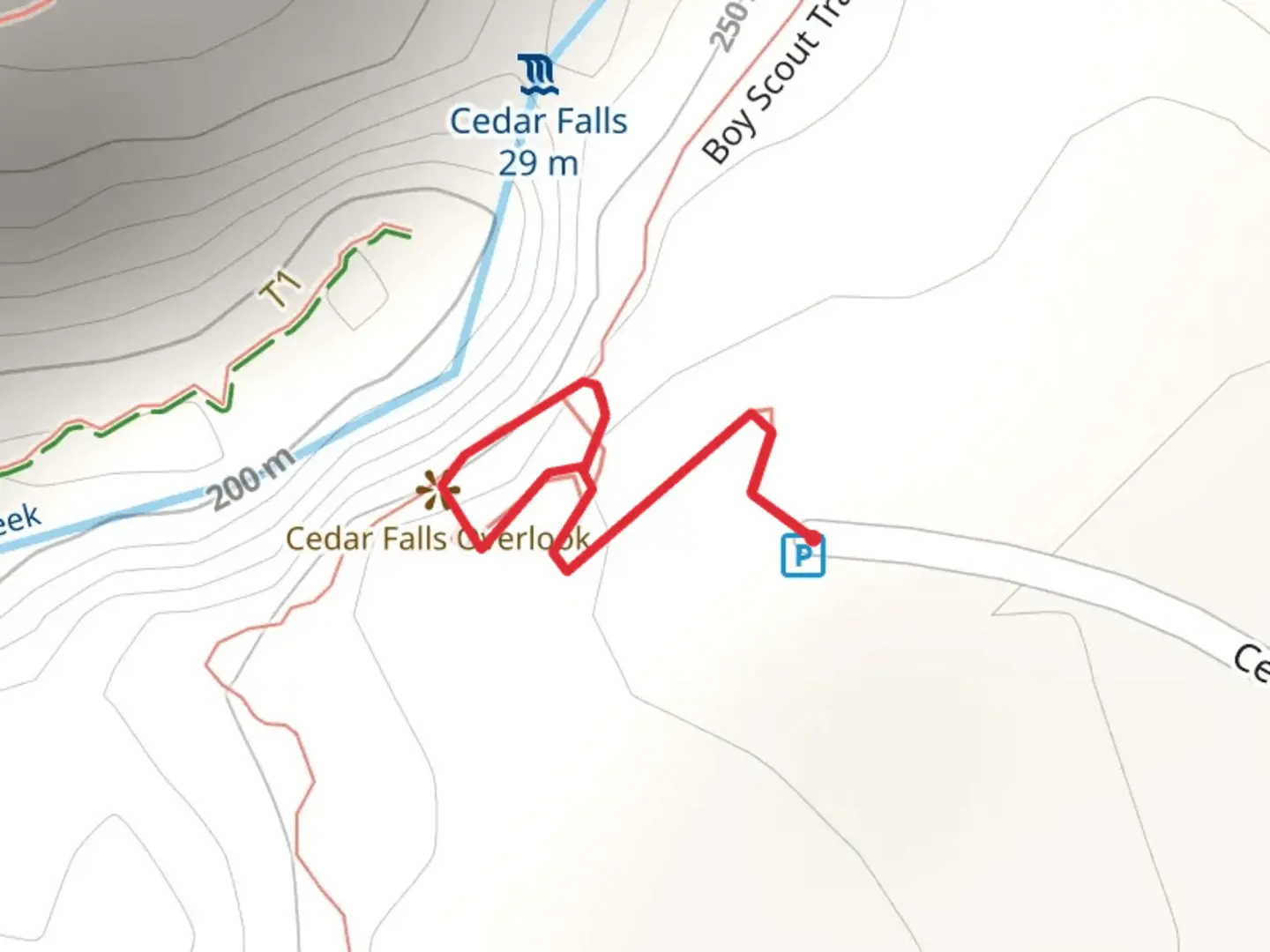 An image depicting the trail Cedar Falls Overlook Loop and its surrounding area.