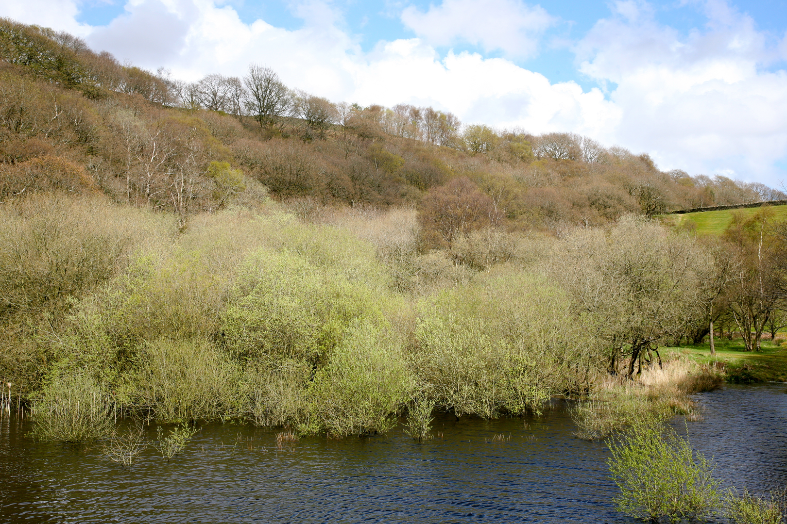 An image depicting the trail Anglezarke Loop and its surrounding area.