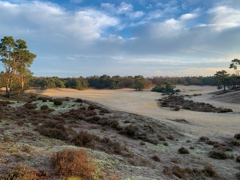 Heezerspoor Oostzijde and Monnikenboschpad Loop