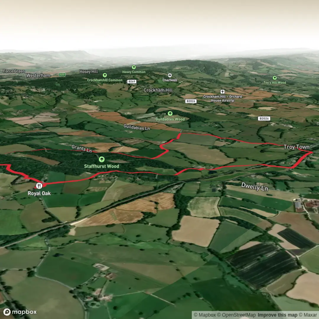 An image depicting the trail Staffhurst Wood Circular and its surrounding area.
